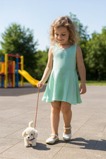 Battery operated- Walking Barking Plush Puppy Toy w/ Leash Random Color, 5.3"