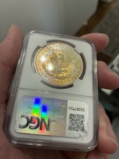 CAC Toner 1885 P MS64 NGC Morgan Silver Dollar $1 Toning Toned Blue Pink Orange