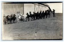 c1907 Horses Lined Up Farm Hand Farmer Barn RPPC Photo Unposted Postcard