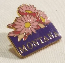 Vintage Metal Pinback W Enamel Inlay Hat Lapel Pin "Montana" Bitterroot Flowers