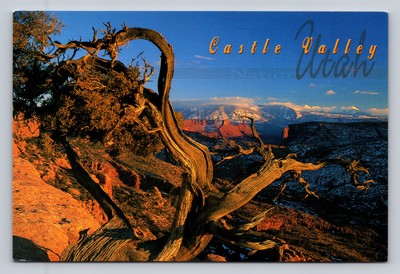 Castle Valley Utah Scenic View with Juniper Tree and Snow-Capped Mountains Postc