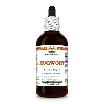 Mugwort (Artemisia Vulgaris) Glycerite, Dried Herb Liquid Extract