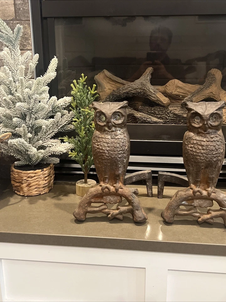 Antique Owl Fireplace Andiron Pair Antique Rare Cast Iron w/Plastic Eyes - Image 3 of 4