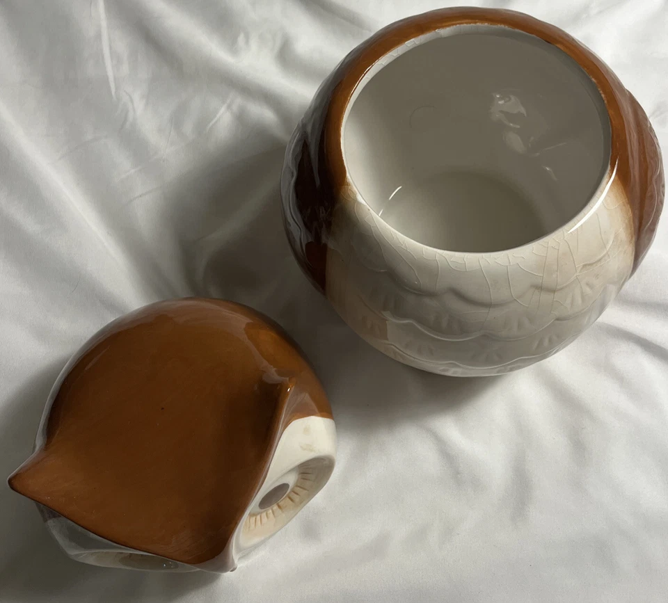 Tarro de galletas World Market Owl 8”T 5”W marrón blanco arte cerámica utensilios de cocina Foto 4 de 4