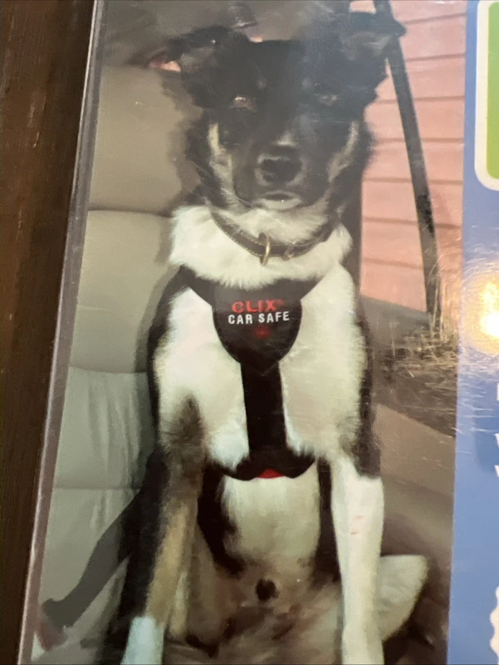 Clix Car & Walking Harness, medium   Car Safety For Your Dog!   Harness    Car - Image 2 of 3