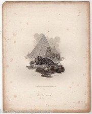 Ichneumon Egyptian Mongoose Early Zoology Antique Graphic Art Engraving Print