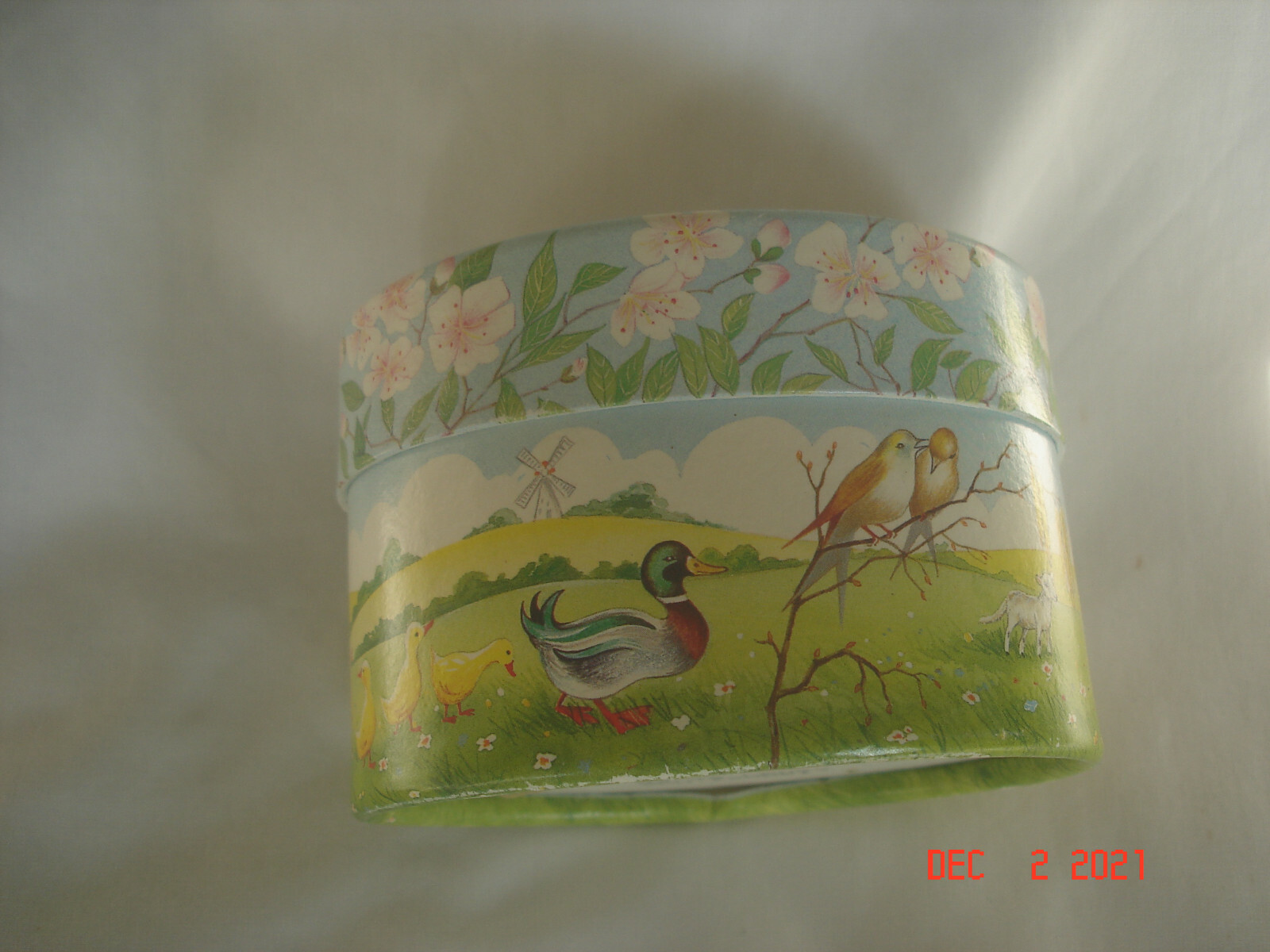 Bild 6 von 10