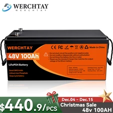 48V 100Ah Lithium LiFePO4 Battery Deep Cycles BMS For RV Sloar Golf Carts 