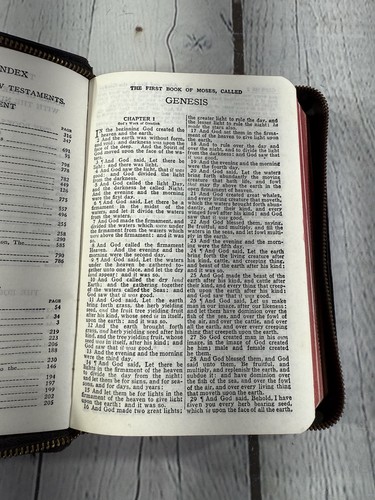 Holy Bible KJV Illustrated Zip Around Black Leather 1950’s Compact World Pub. - Foto 9 di 15