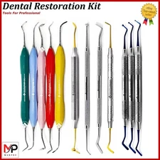 Dental Composite Filling Restorative Instruments Spatula Burnisher & Plugger