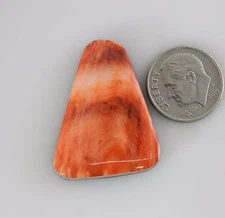 Single Orange Freeform Spiny Oyster Cabochon Cab, Spiny Oyster Loose Piece