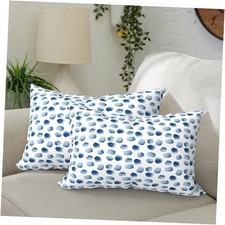 Pack of 2 Outdoor Waterproof Lumbar Pillow 20" x 12" Pack of 2 Brush Blue