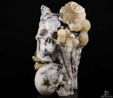 9.3" Sakura Agate Carved Crystal SkullS Crystal Healing