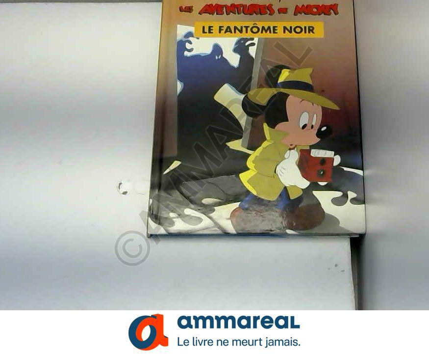 couverture de : Le fant&ocirc;me noir