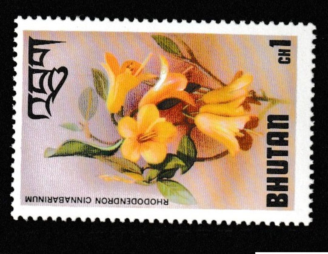 BHUTAN STAMP MNH Commemorative MINT unused WM0190 | eBay