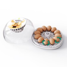 Incubators for Hatching Eggs 12Eggs with Automatic and Humidity Control