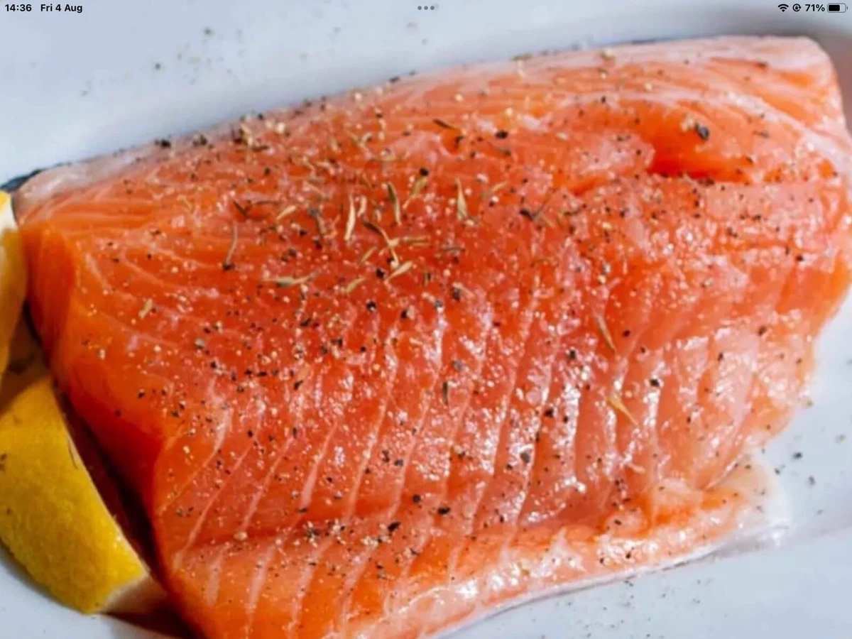 Salmon dog biscuits 2025