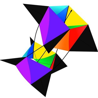WindNSun Supersize 3D Revolution Kites & Box Kite RotoBox