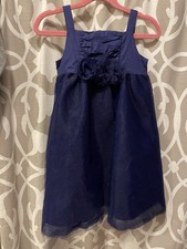 Toddler Janie And Jack Tulle Dress Size 3T