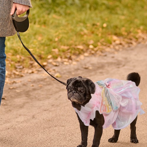 1 Set Of Adorable Dog Princess Dress Comfortable Breathable Pet Clothing Dog - Picture 5 of 12