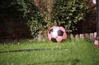 Bild 11 von 13