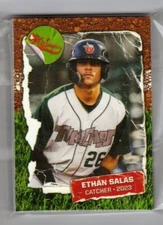 ETHAN SALAS 2023 FORT WAYNE TINCAPS UPDATE SET 15 CARDS NEW COMPLETE