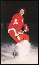 1973-74 J. D. McCarthy Postcard (Hockey) -BILL HOGABOAM (Detroit Red Wings)