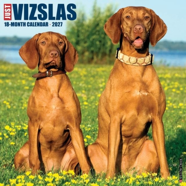 Vizslas 2027 Wall Willow Creek Press - Image 3