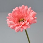 Bild 6 von 36