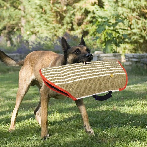 Pet Dog Training Biting Covers, Training for Sleeves and Chewing Clothes - Picture 6 of 21