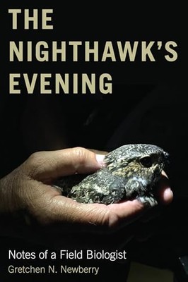 THE NIGHTHAWKS EVENING by Gretchen N. Newberry Paperback Self Help Business