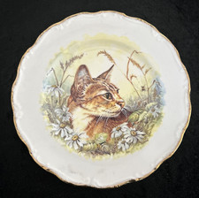 Cat Bone China Collectors Plate-26 cm Diameter-Royal Vale-Cat among the Daisies