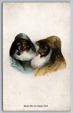 Cape Cod Massachusetts Old Fisherman  Postcard  1910