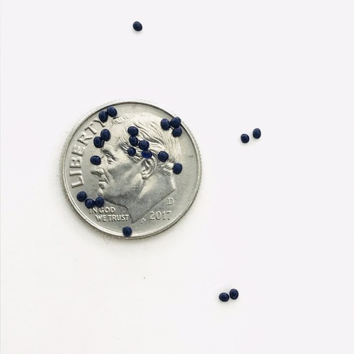 Microbeads Set 25 Colors Assortment No Holes 0.2mm - 1.2mm -Caviar Beads - Picture 10 of 12