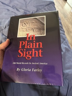 In Plain Sight by Gloria Farley Hardcover w/ Dust Jacket Ancient America