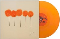 L.S. Dunes - Past Lives - Vinyl Record - K2Z