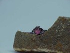 Sterling Mexico Murano Bead Ring Band Sz 7 ~ 1.9 Gram Vintage Silver Mica ABG — photo 4