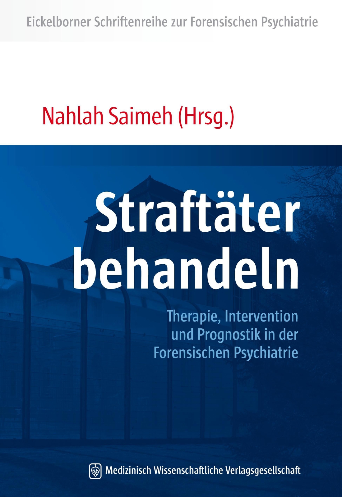 Thumbnail - Straftäter Behandeln Nahlah Saimeh Taschenbuch 295 S. Deutsch 2015
