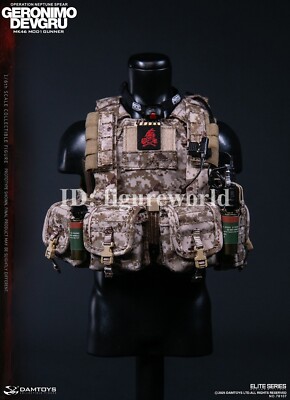 Pre-order DAMTOYS 78107 1/6 DEVGRU Operation Neptune Spear