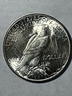 1935 P  PEACE  Dollar  GEM BU REGULAR $630 ,NOW SALE PRICE $500   NEAR GEM BU + — photo 4
