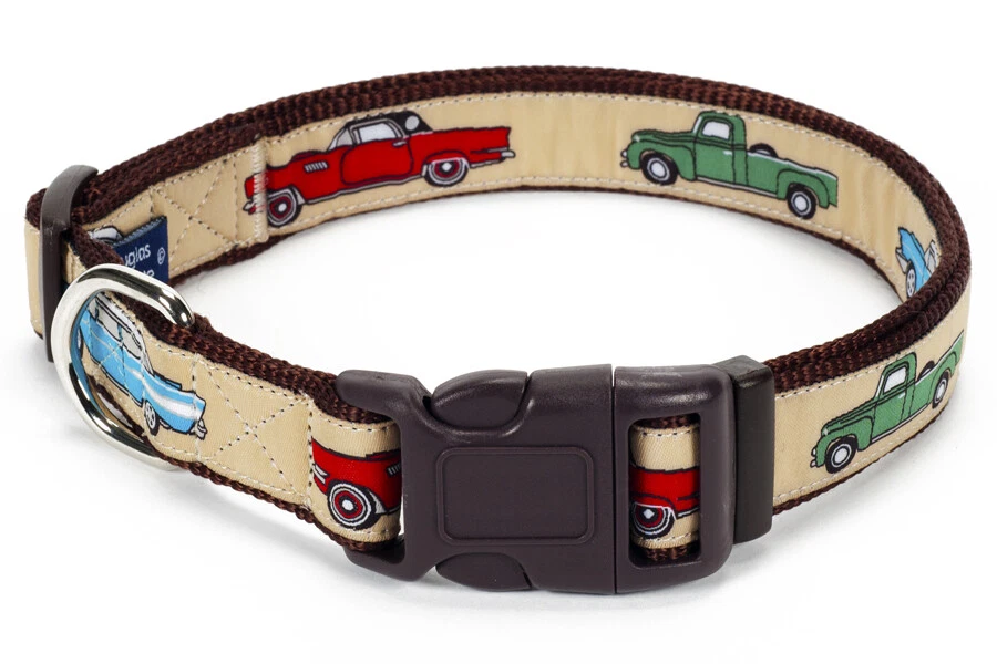 Douglas paquette dog clearance collars