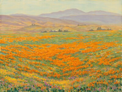 California Wildflowers Original Landscape Oil Plein Air Painting 12x16