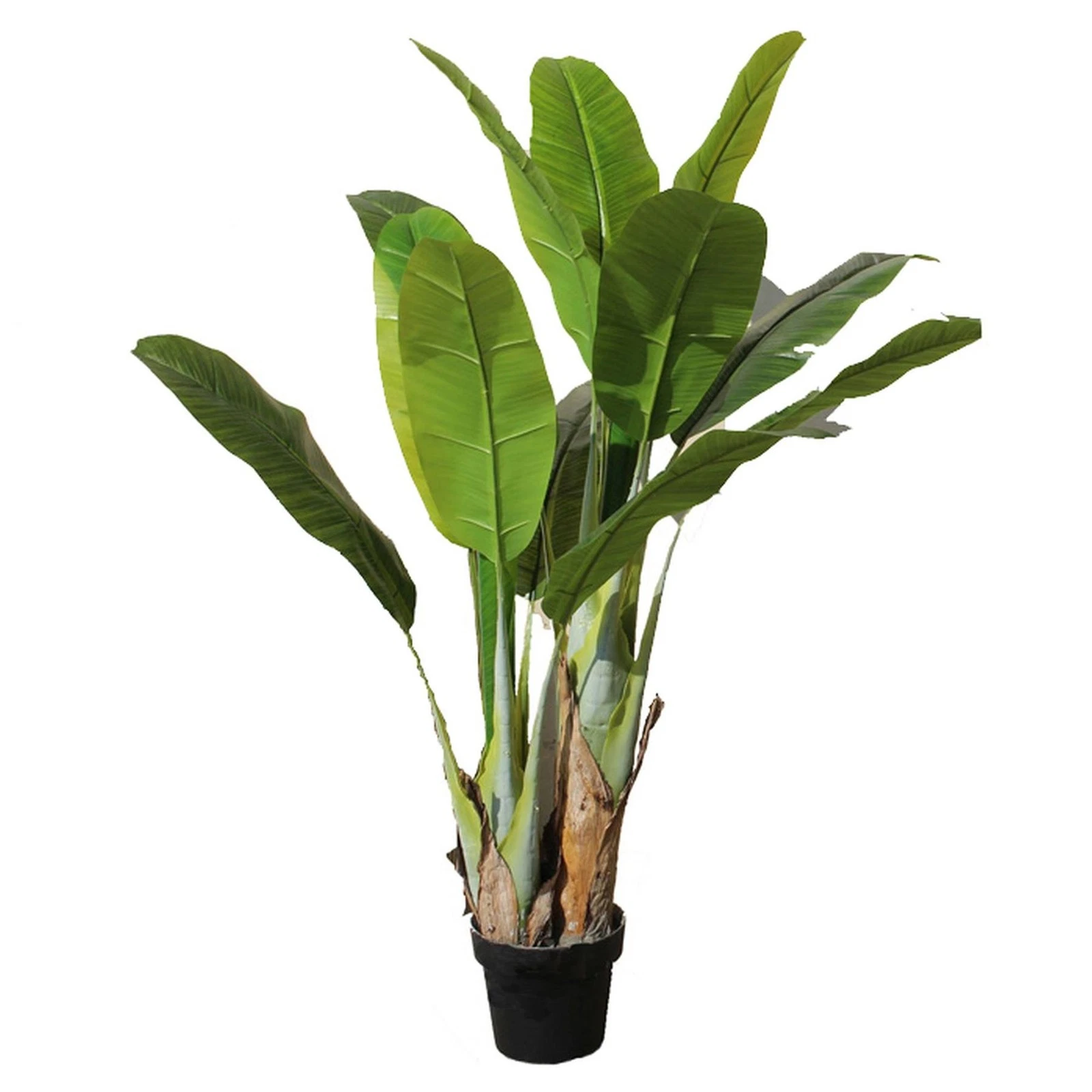 120cm Banana Tree - 70637