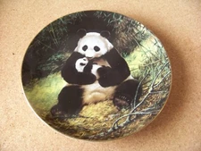 The Panda by Will Nelson Last of Their Kind Endangered Species 1st Issue 1988