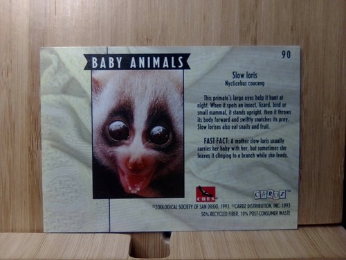 Tarjeta coleccionable #90 del zoológico de San Diego RINOCERONTE BLANCO 1993 - Imagen 2 de 2