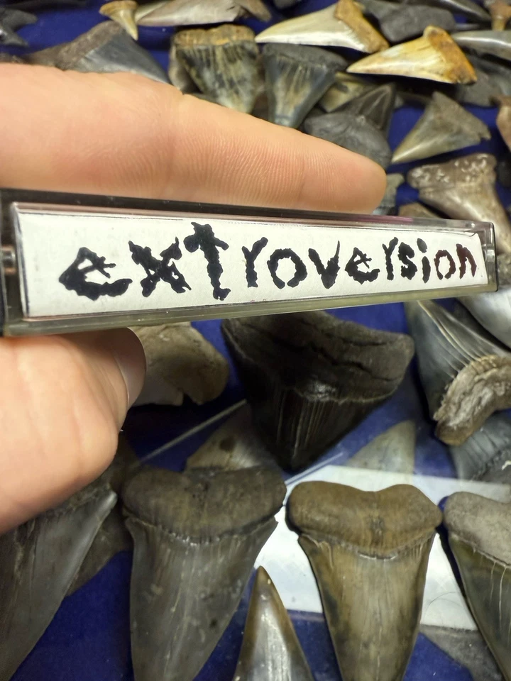 1993 EXTROVERSION INNER REVELATION DEMO HEAVY METAL HARD ROCK CASSETTE RARE Foto 4 de 4
