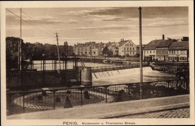 Postcard Penig in Saxony, Muldenwehr and Thierbacher Straße - 3420218