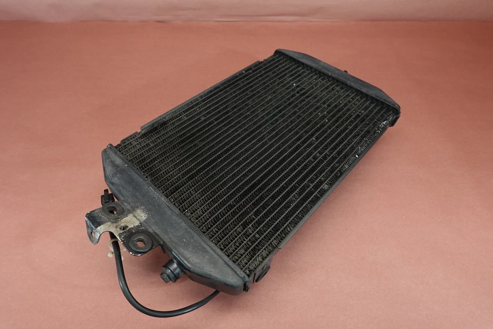 99-13 YAMAHA ROYAL STAR XVZ 1300 TF XVZ13 Radiador con Ventilador Foto 3 de 4