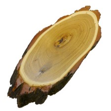 Acacia Plaquette de Trophée Cerf Bois Daim Corne de Cerf Baumschild AF33-34cm