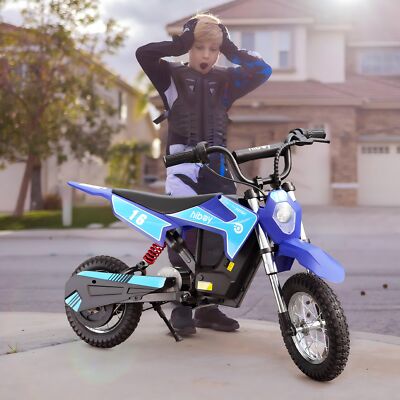 Hiboy Electric Dirt Bike Kids Dirt Rocket DK1 36V 300W Motorcycle Secondhand